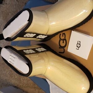 UGG Boots - Classic Clear Minis!! NEW IN BOX!!!